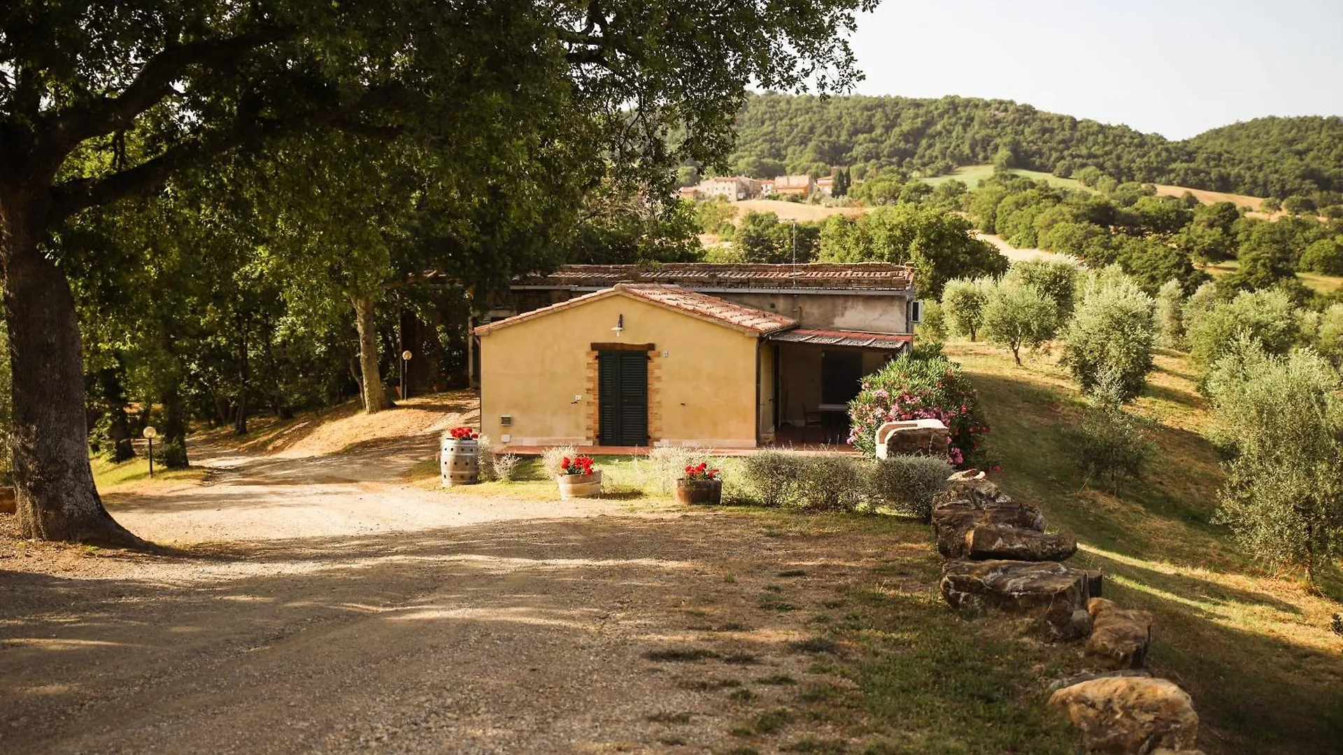 Bio Agriturismo Poggio Aione Saturnia Alloggio per agriturismo