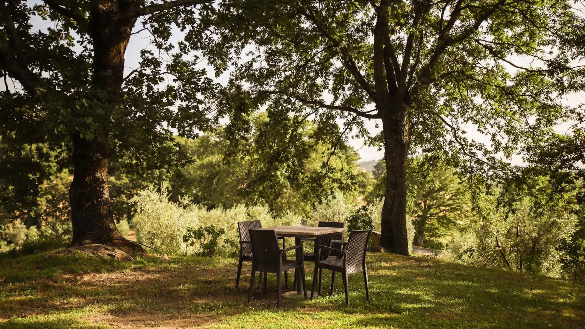 Bio Agriturismo Poggio Aione Saturnia Alloggio per agriturismo