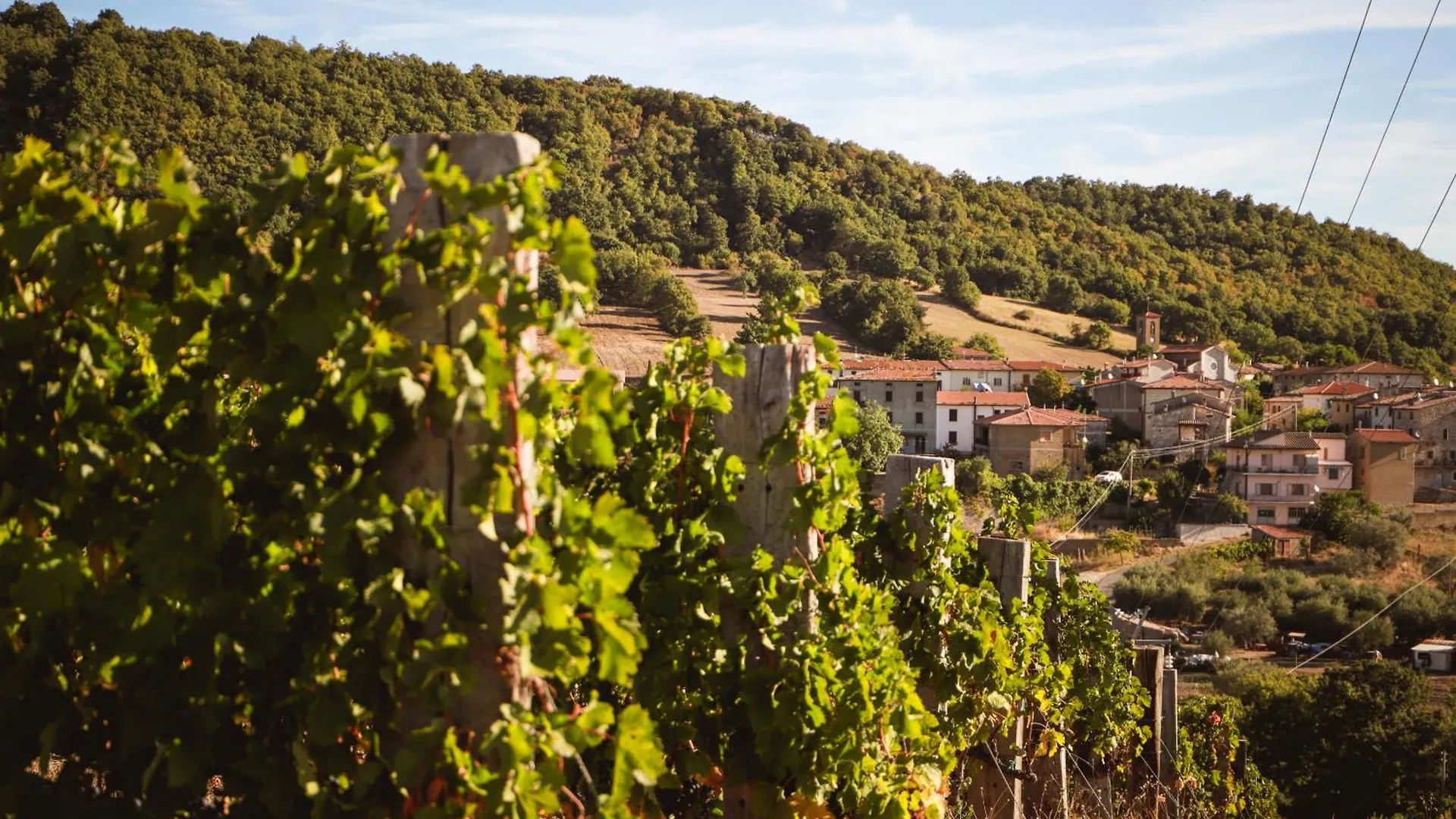 Farm stay Bio Agriturismo Poggio Aione Saturnia